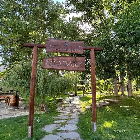 Studio/free Yoga&aqua Aerobic